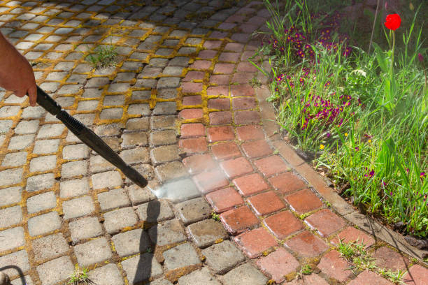 Driveway & Concrete Cleaning